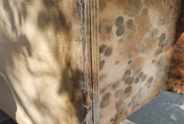 Mold Remediation