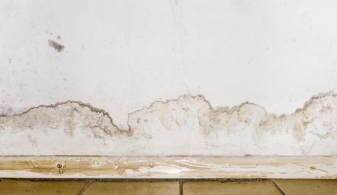 flooding rainwater floor and white wall water and mold damage