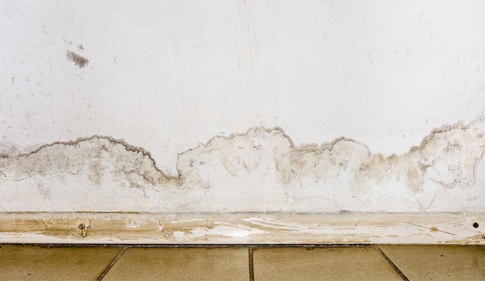 flooding rainwater mold damage restoration