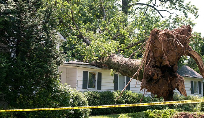 Hurricane Damage Restoration Service