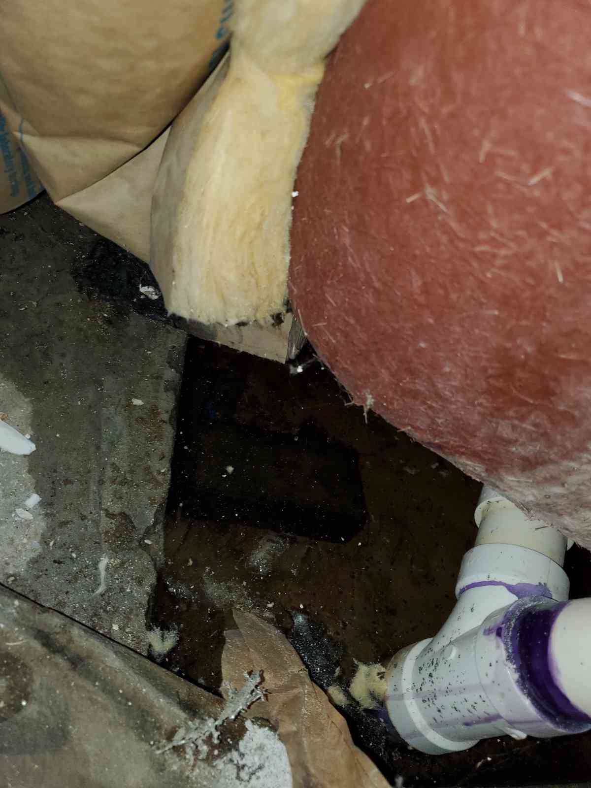 Bathroom Water Damage Zachary