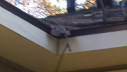 roof damage- mitigation cleanup- denham springs- residential