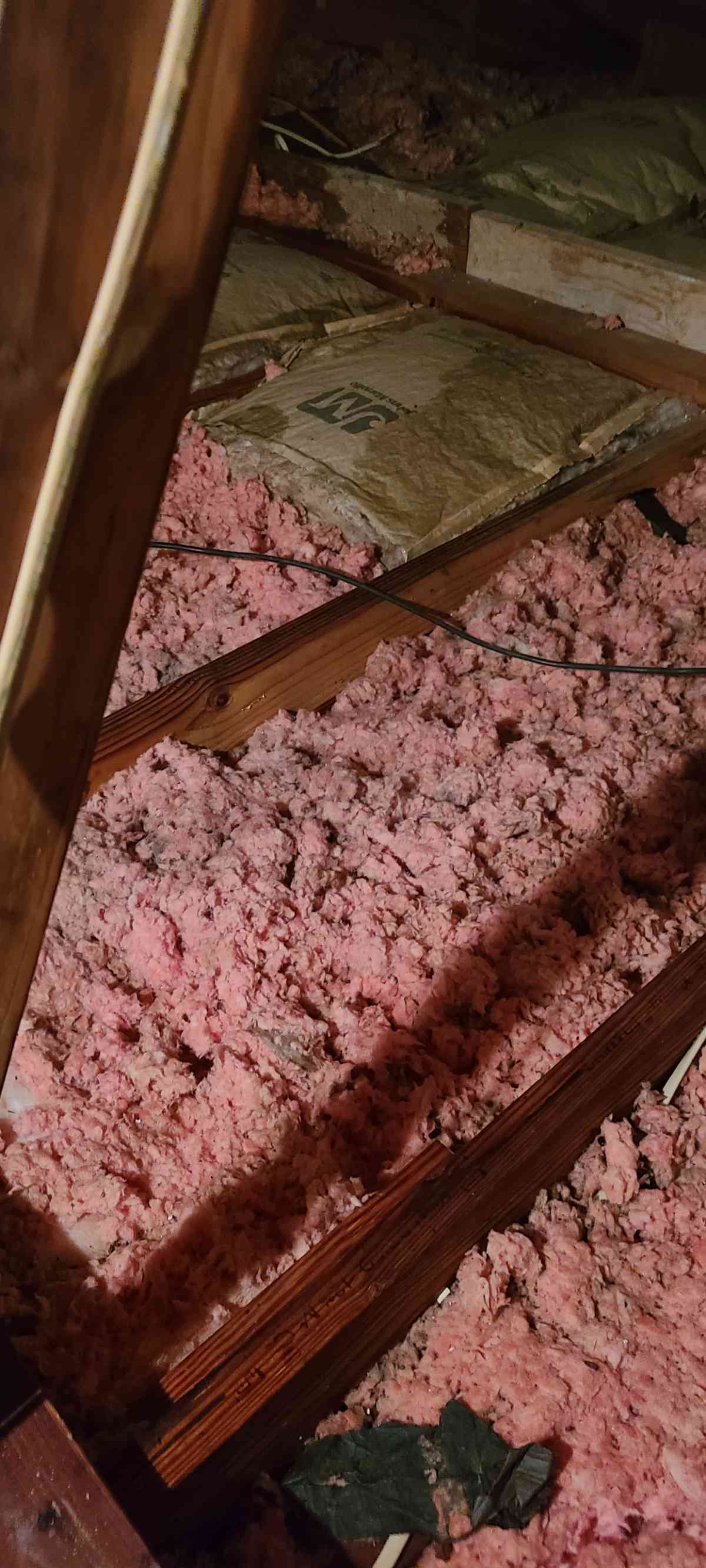 Julee F.- water damage, leak, baton rouge