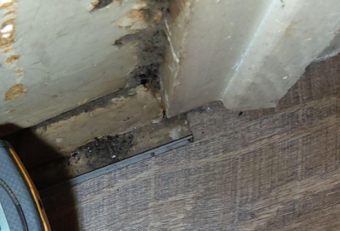 Byouk- Water Damage Restoration in Baton Rouge, LA – AC Drain Overflow Cleanup