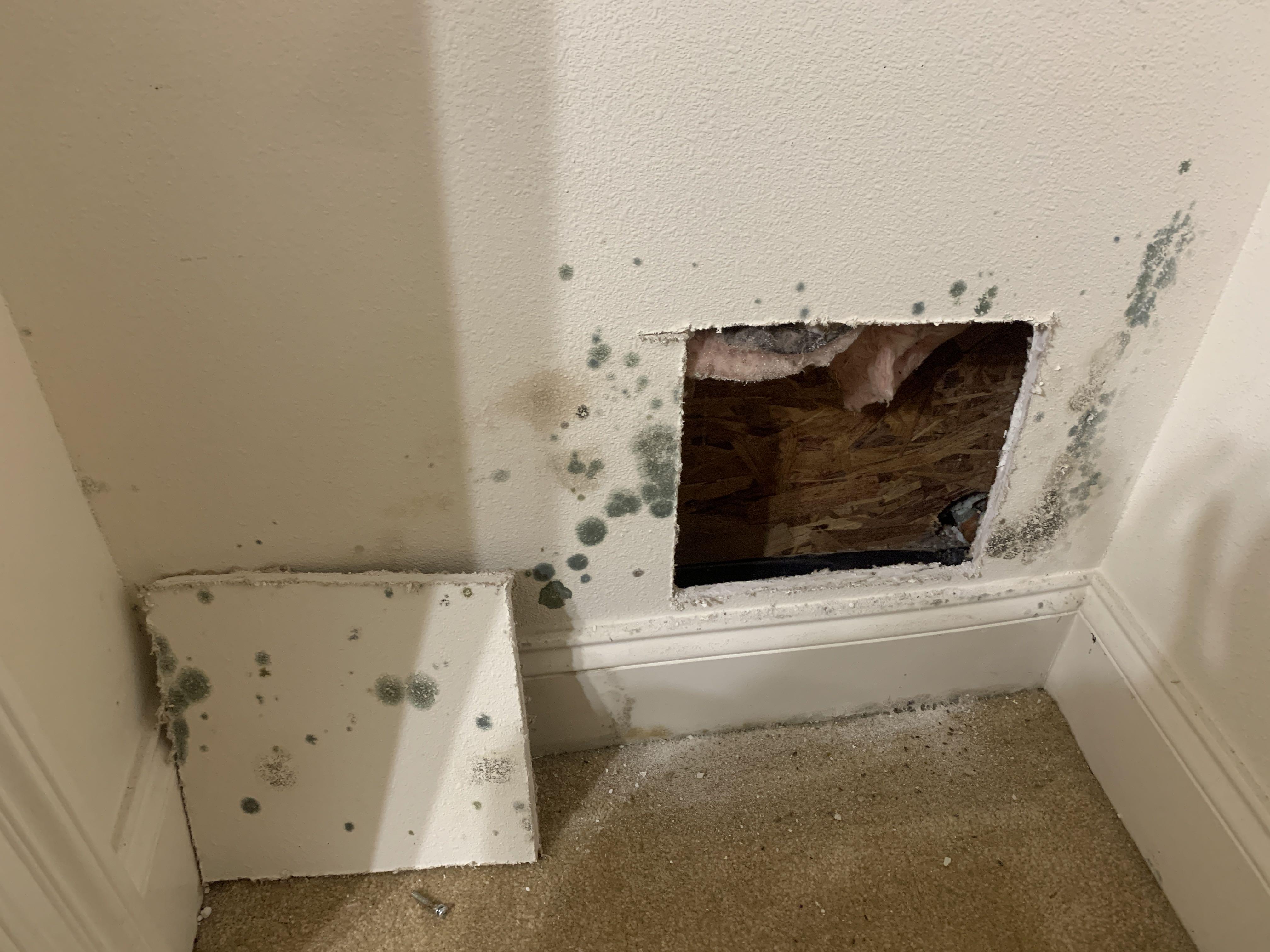 Molly C.-water damage- gonzales- slab leak