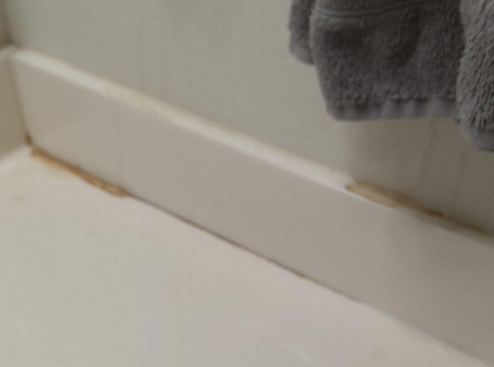 Noskeau-Heavy Rain Water Damage Restoration in Denham Springs, LA