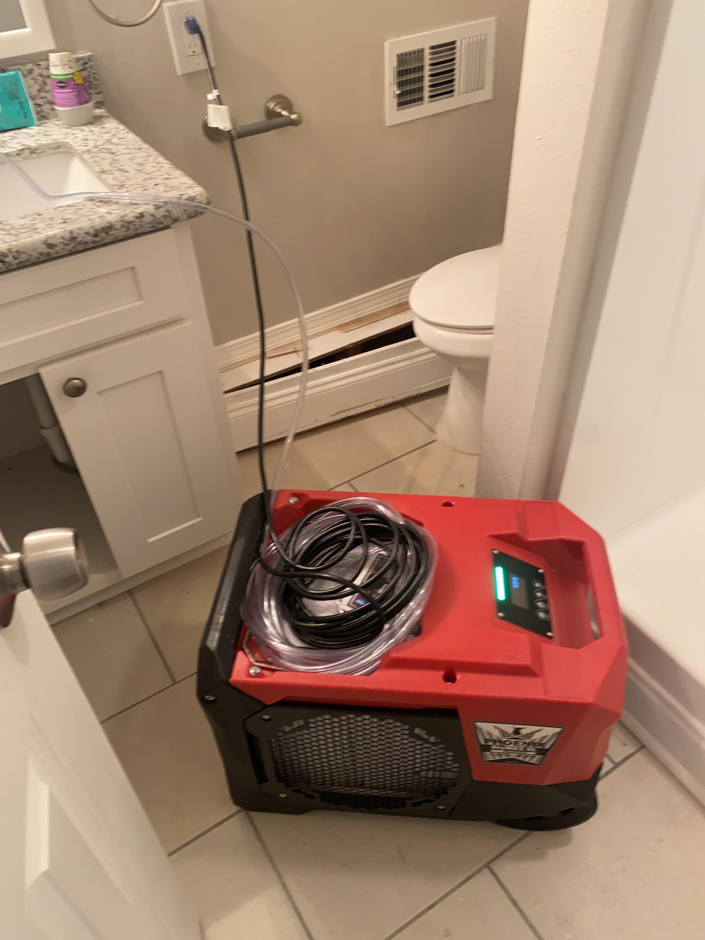 Princess R.- Water Damage Restoration from Squirrel-Caused Leak in Denham Springs, LA