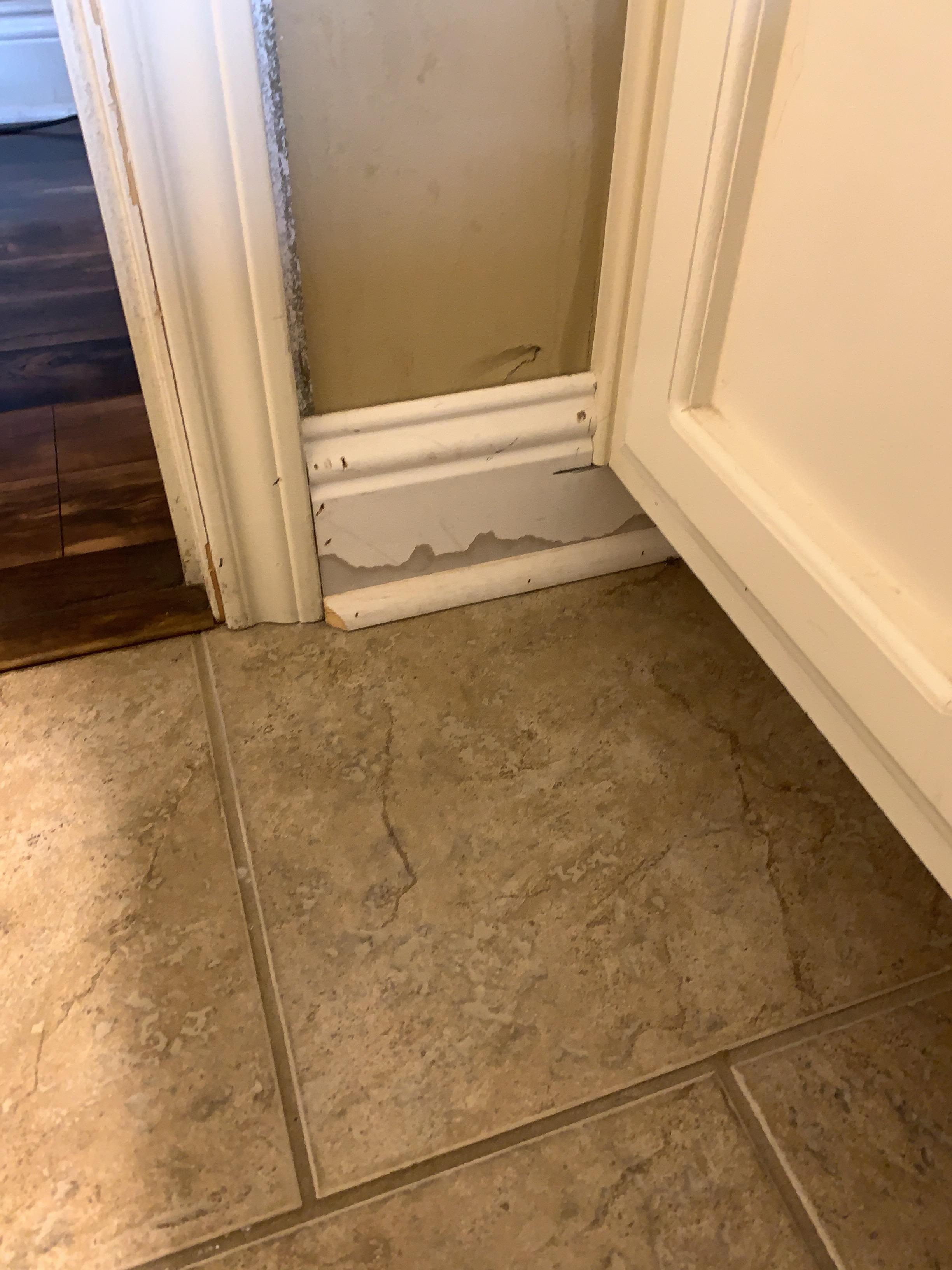 Silvia M.-Toilet Overflow Water Damage Restoration in Denham Springs, LA
