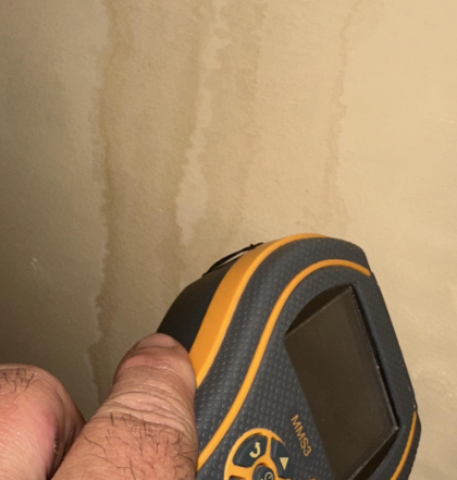 Calin- water and mold damage restoration, baton rouge