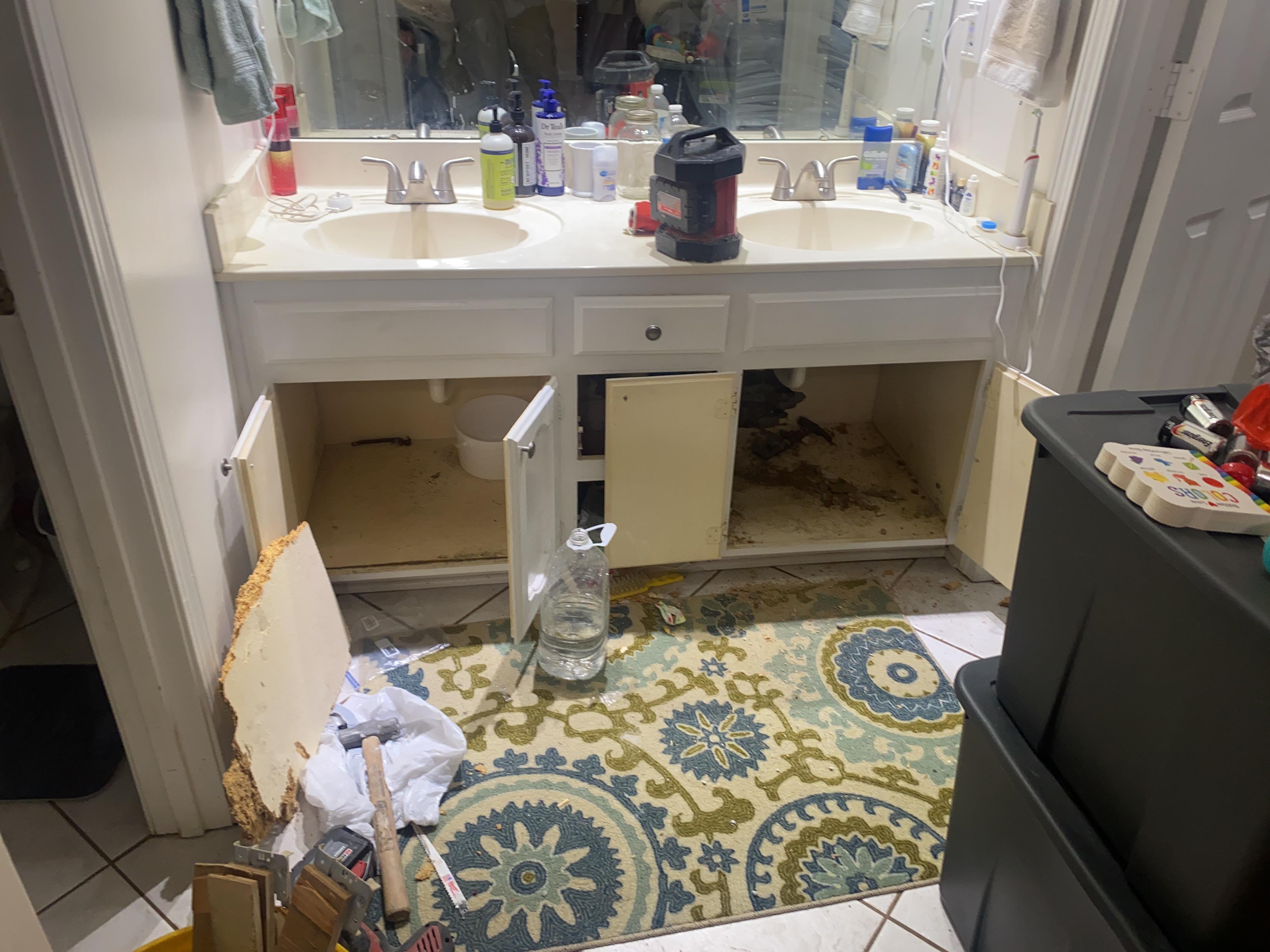 Erika G.- water damage, mold damage, baton rouge