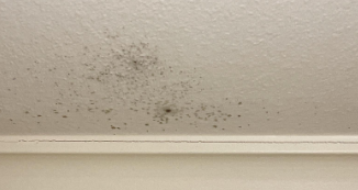 Law- water and mold damage restoration, baton rouge