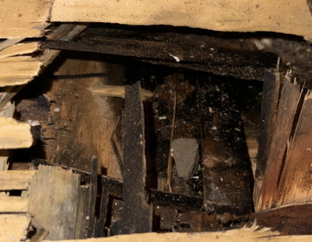 Alex P- water damage, water restoration, baton rouge