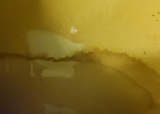 Petit- water damage, pipe leak, baton rouge