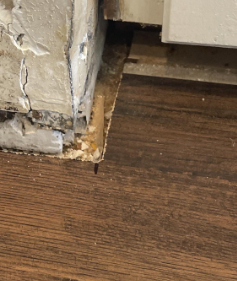 Matharu- mold damage restoration, baton rouge