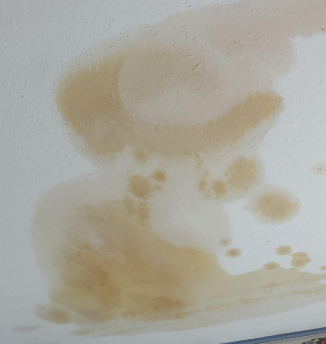 Rackley- water damage restoration, burst pipes, baton rouge