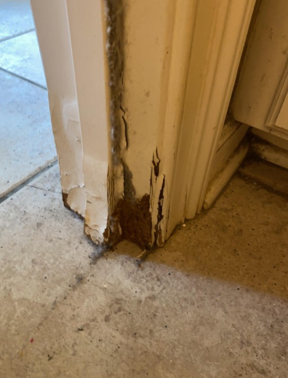 Water damage door frame
