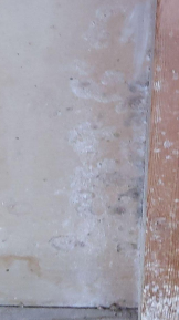 Gragnaud - water damage repair, mold remediation. Denham Springs LA