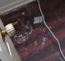 R Jackson water damage- mitigation