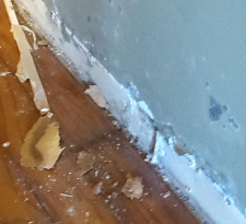 S Morrison- water damage restoration, baton rouge