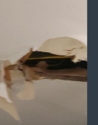 Cooper Professional Water Damage Restoration in Baton Rouge, LA
