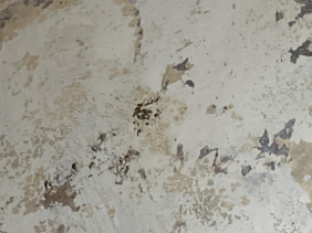 Derlicrow- water and mold damage restoration, baton rouge