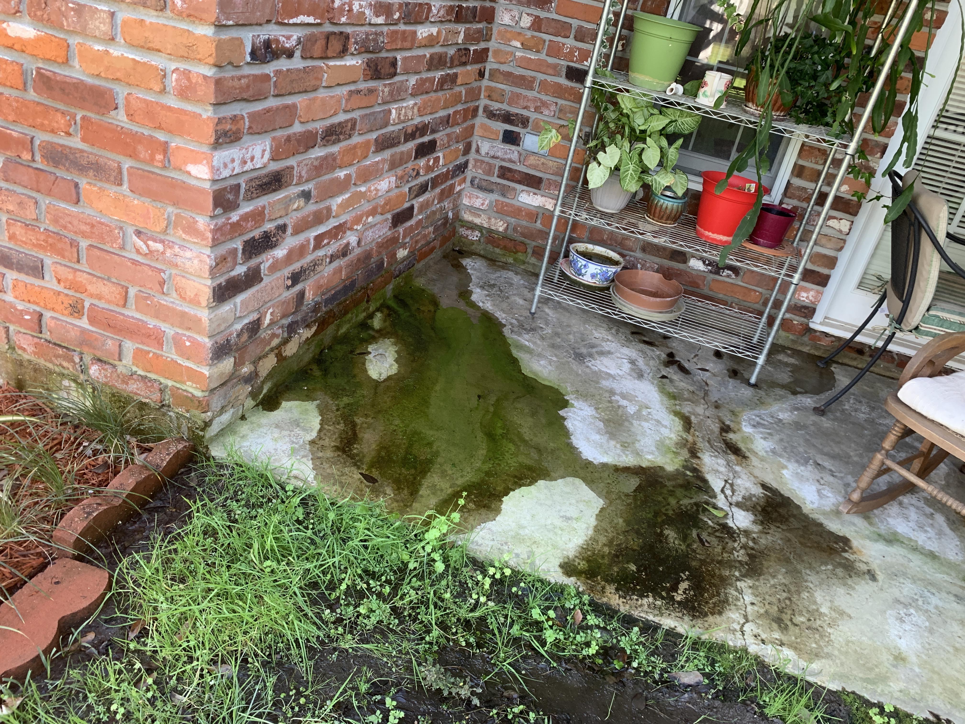 Joyce P. - slab leak, plumbing leak, water damage - Gonzales LA