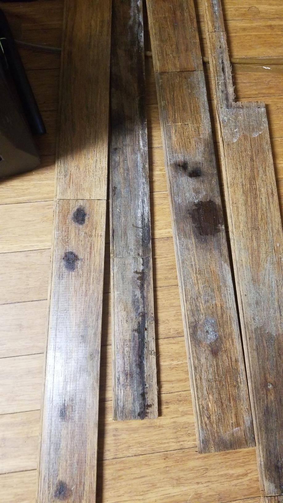 John S.- water damage, mold, baton rouge