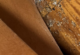 M Reaux- Residential Water Damage Restoration – Slab Leak in Baton Rouge, LA