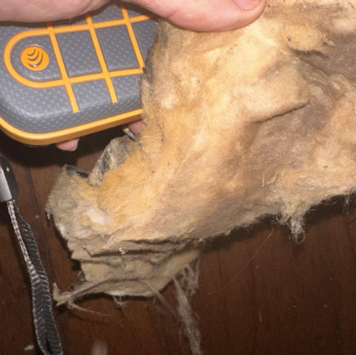 Wet Insulation- Roof Leak- Zachary