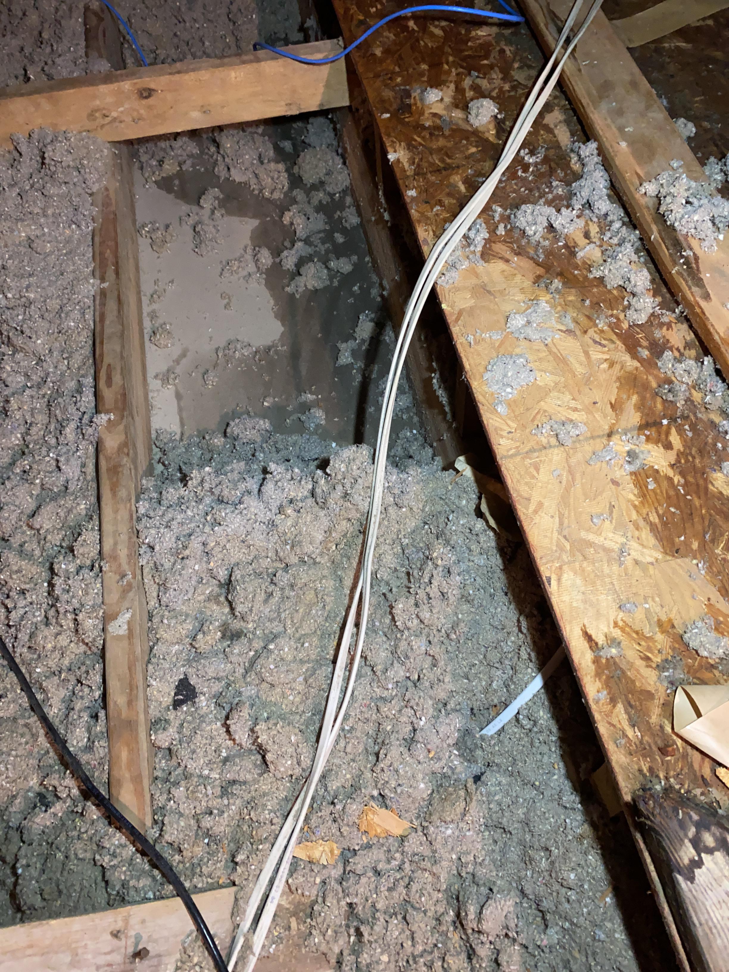 Jacob S.-Ceiling Leak and Water Heater Damage Restoration in Denham Springs, LA