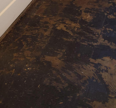 Walter- water damage, restoration, zachary