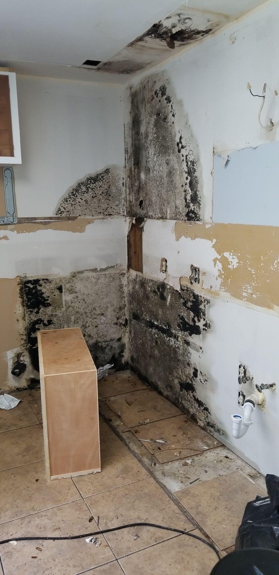 April F. Water Damage Restration, Baton Rouge LA