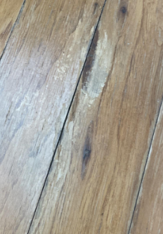 Ardoin- Water Damage- Water Restoration