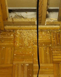 Water Damage Hammond- Restoration- Insurance Claim- Slab Leak