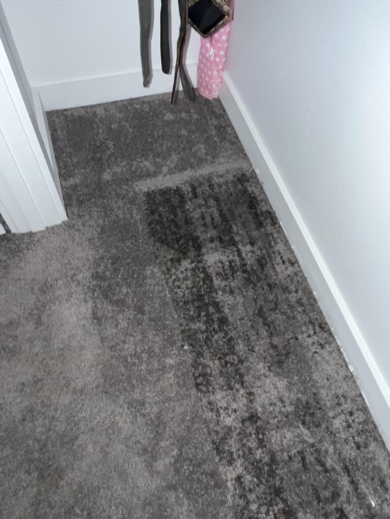 Kristen Y. - water damage repair, water damage restoration, Gonzales LA