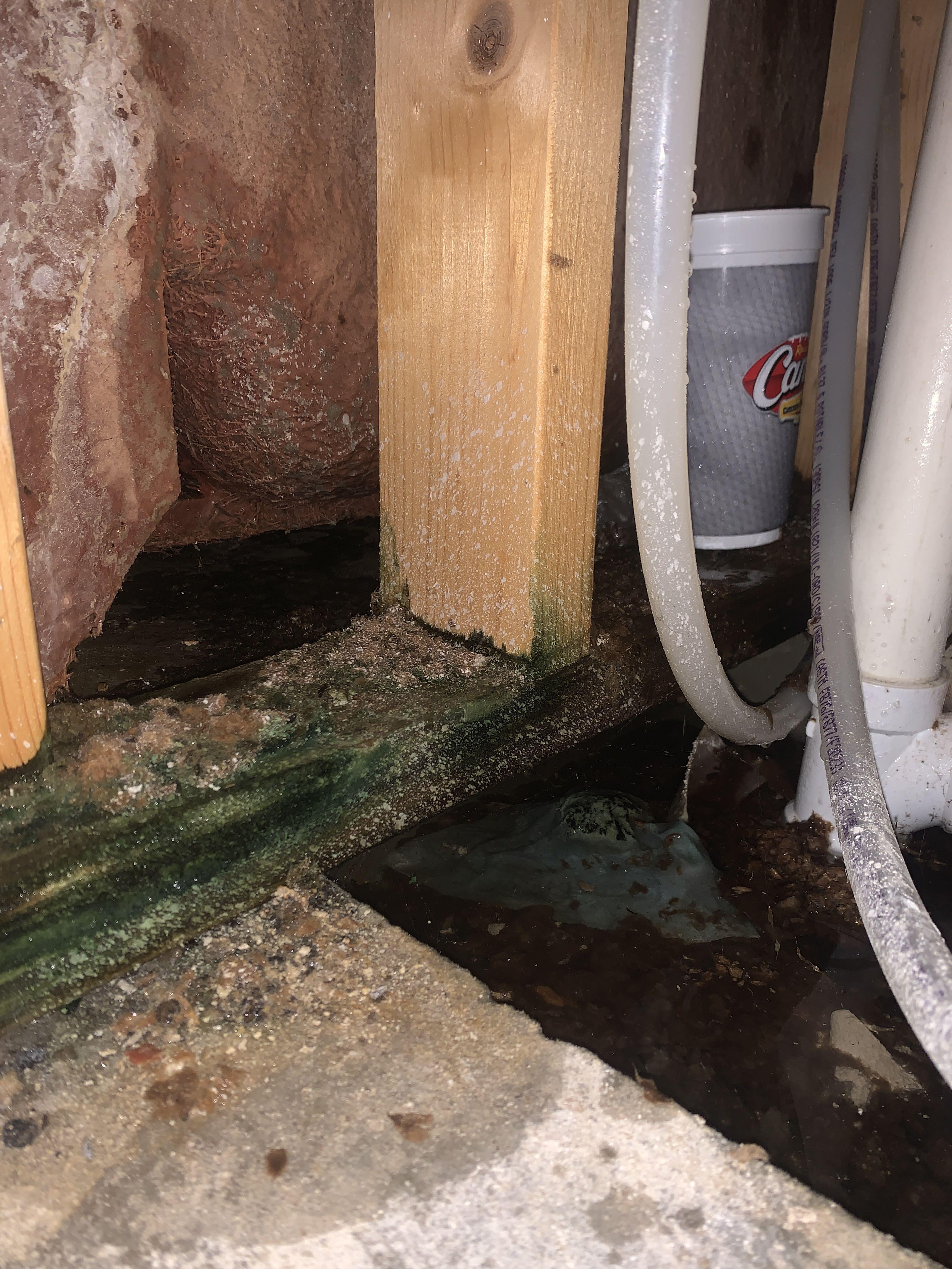 Master Bathroom Water Damage Mold Port Allen