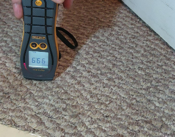Maddison - water damage restoration, Denham Springs LA