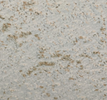 Louis- Water Damage Restoration in Baton Rouge, LA – Roof Leak & Wet Wood Floors