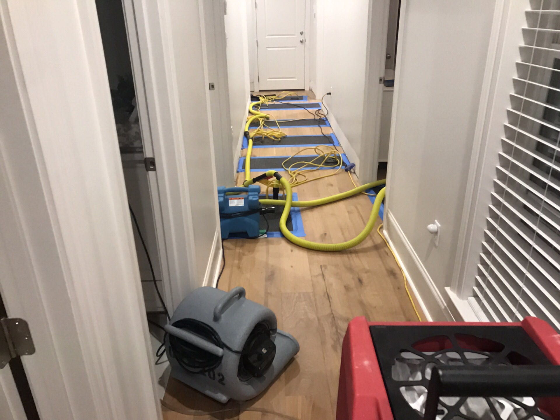 Pete F.-water damage-Gonzales- Washer Overflow