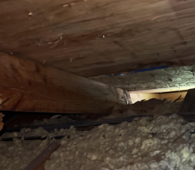 Roof Leak- Denham Springs- Water Damage- Wet Sheetrock