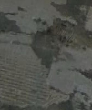 Thompson - water damage, slab leak, Baton Rouge LA