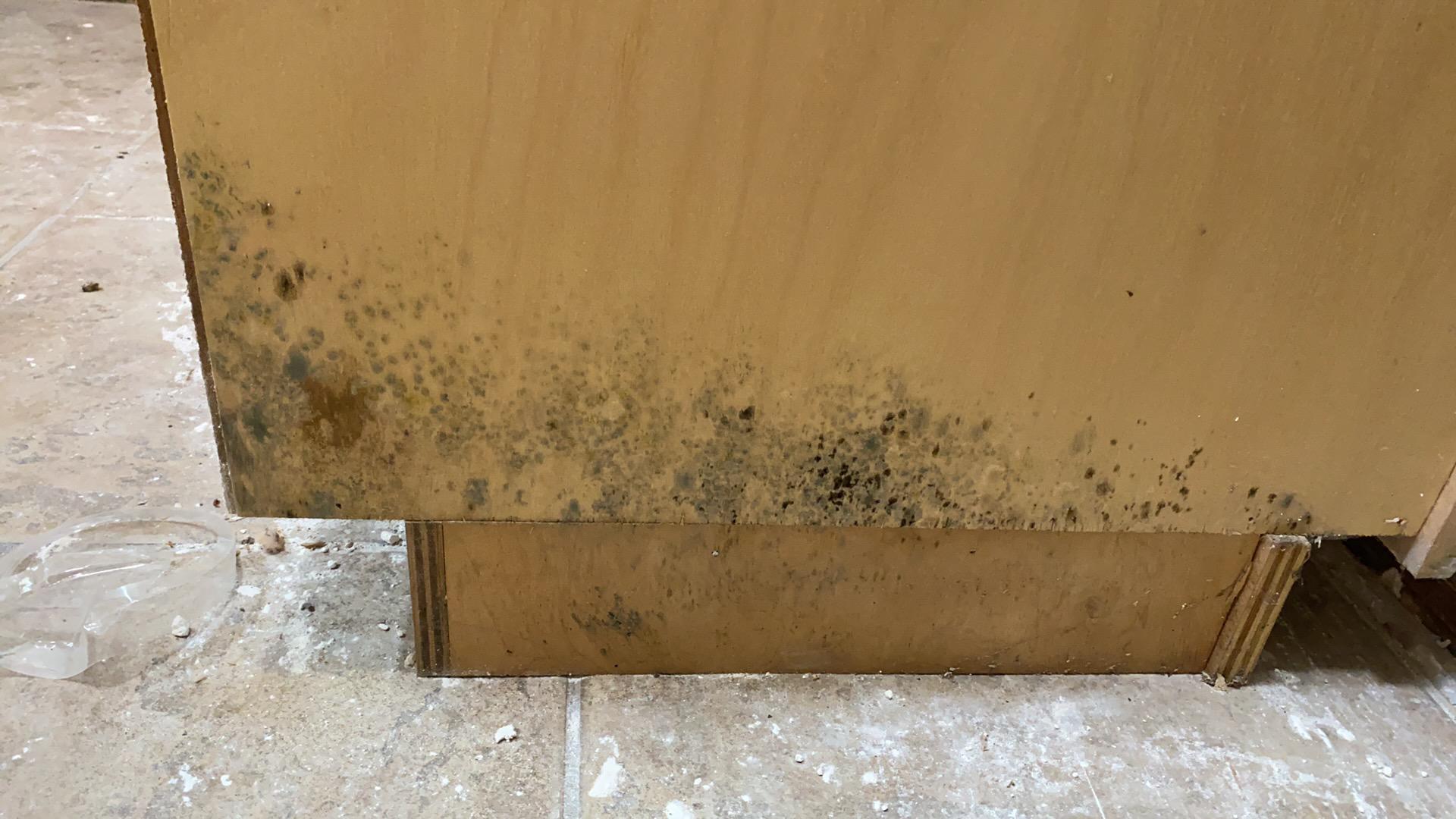 Fulu B.- water damage, mold damage, baton rouge