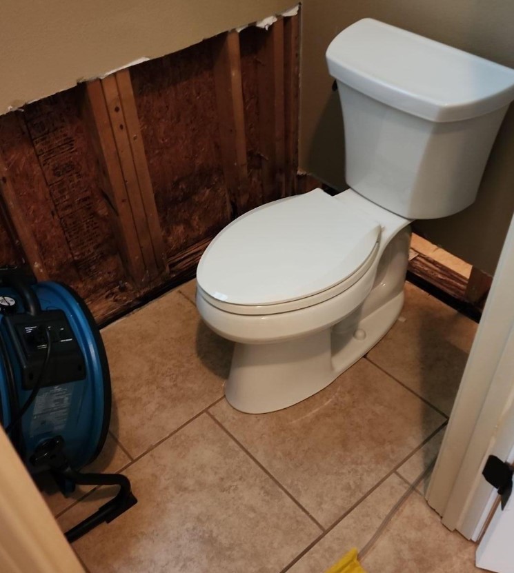 Gerald D. Mold remediation mold removal, water damage. Denham Springs LA