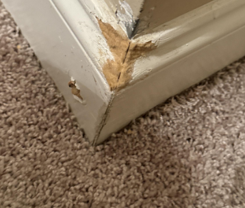 Gladney- water damage - baton rouge