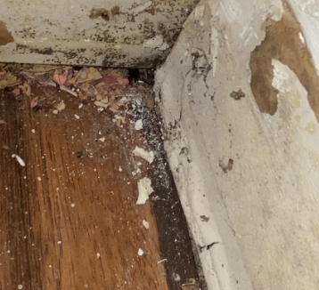 Dickerson - water damage, leak. Baton Rouge LA