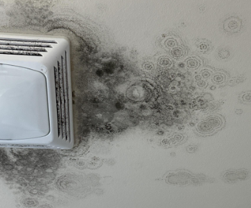 Woolf- water and mold damage restoration, baton rouge