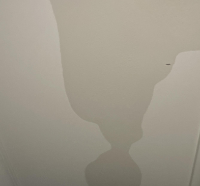 Simpson- water damage restoration, baton rouge