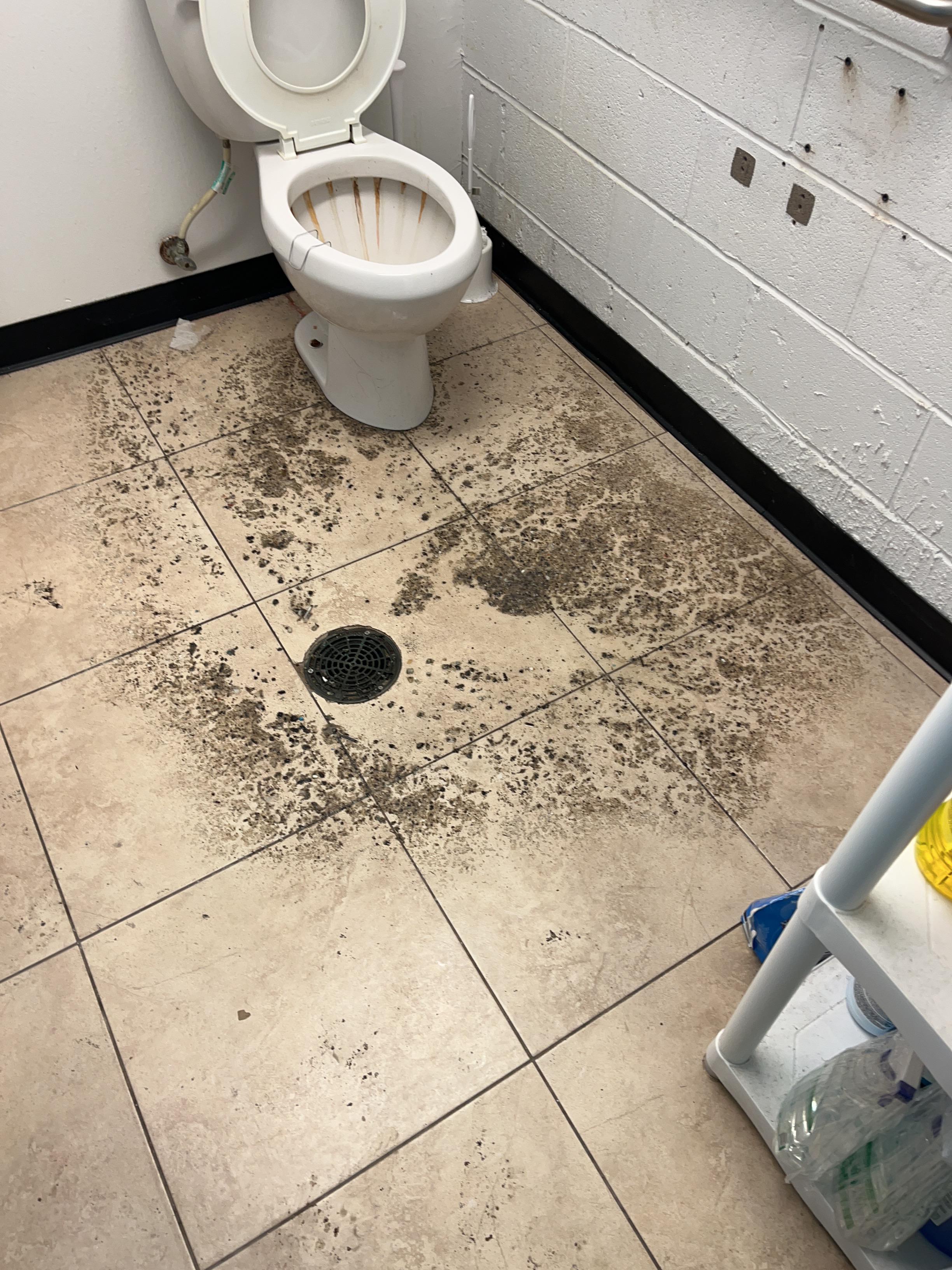 Commercial Wireless Store - Commercial water damage - Baton Rouge LA