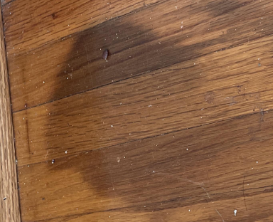 McCormmick- water damage restoration, baton rouge