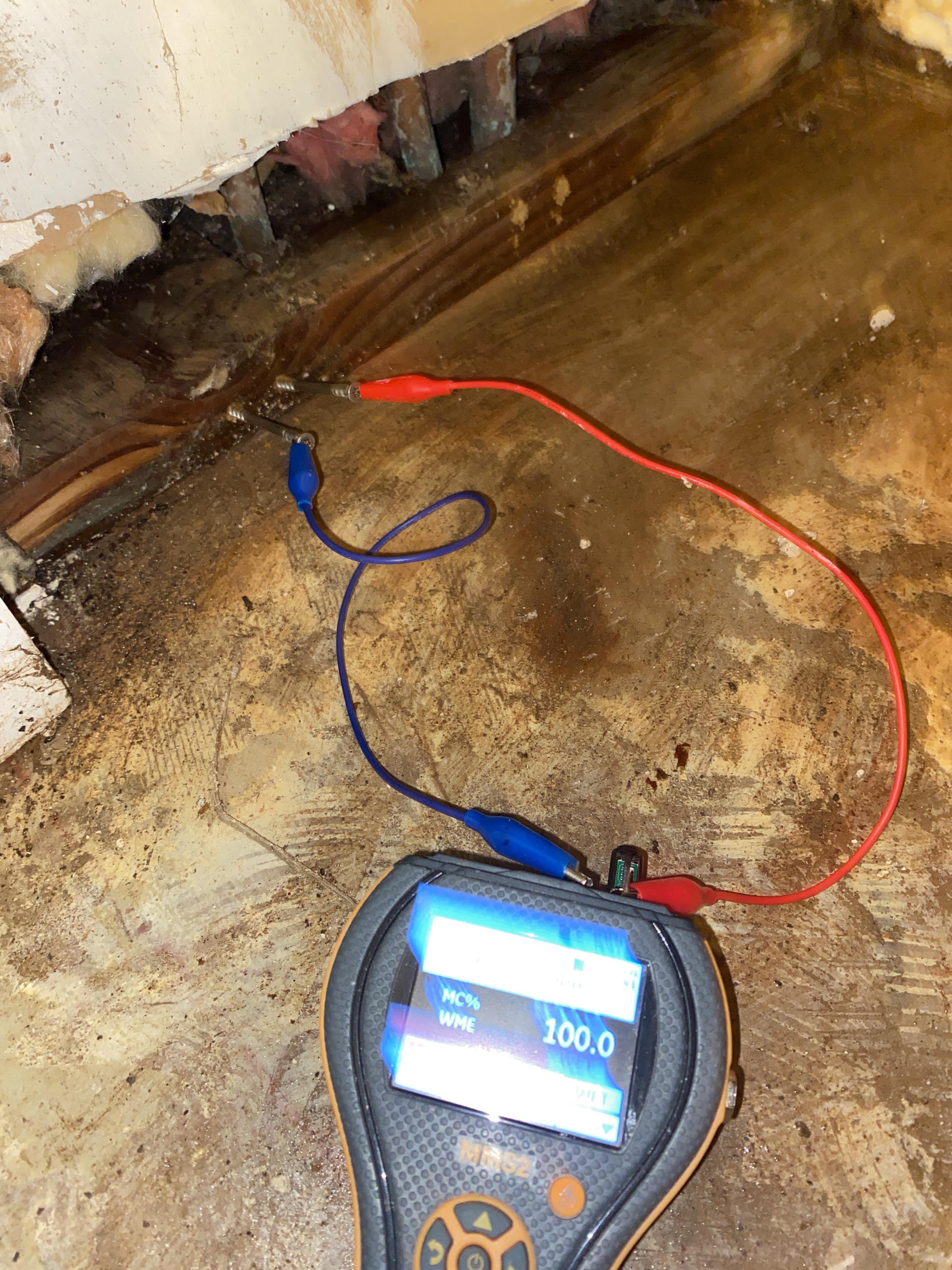 Myra S.- water damage, leak damage, baton rouge